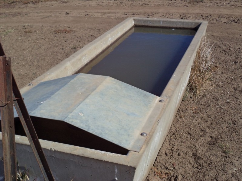 ‘ Kilrush ‘, Condamine QLD 4416