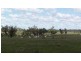 ” Veralla”, Roma QLD 4455