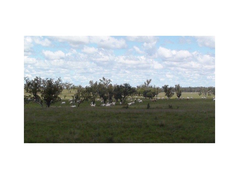 ” Veralla”, Roma QLD 4455