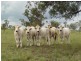 ” Veralla”, Roma QLD 4455