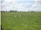 ” Veralla”, Roma QLD 4455