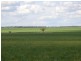 ” Veralla”, Roma QLD 4455