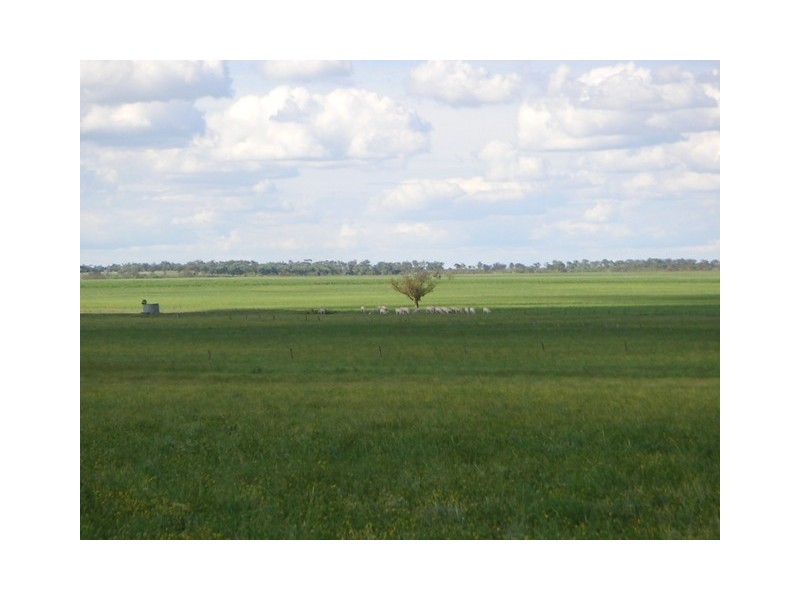 ” Veralla”, Roma QLD 4455