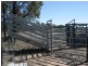 135 GOONALAH EAST ROAD, Miles QLD 4415