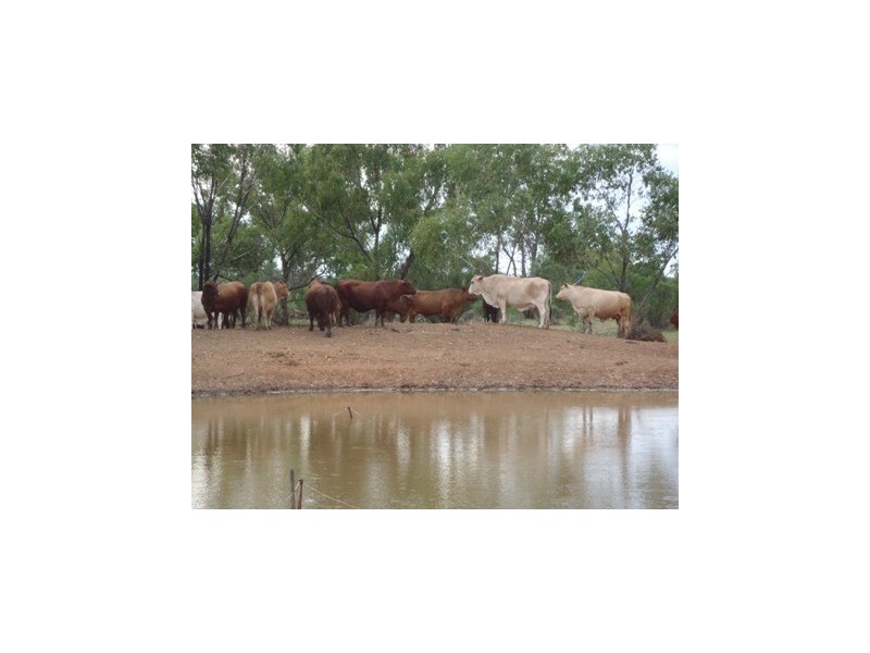 ” Rockwell Aggregation “, Cunnamulla QLD 4490