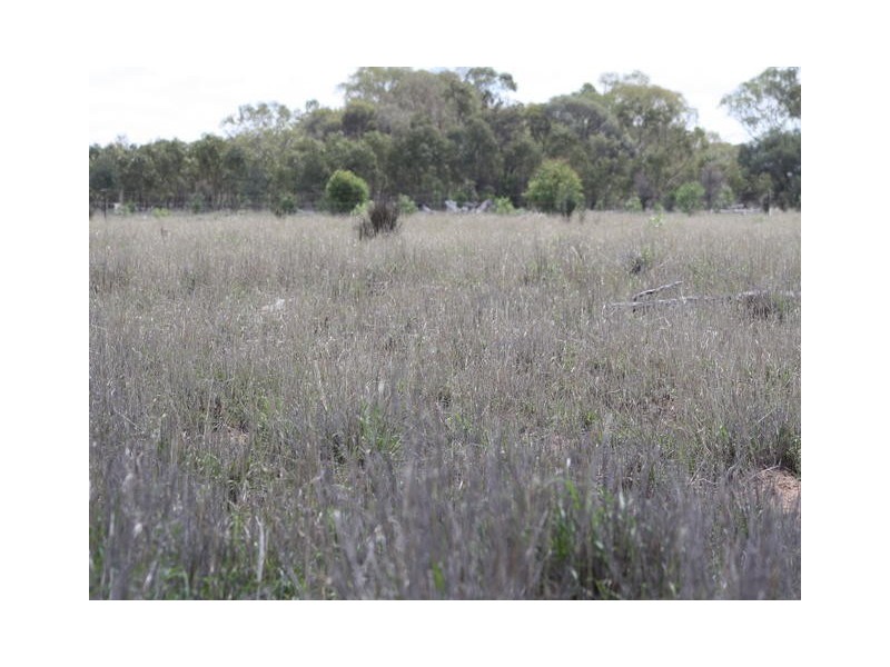 ” GLANMIRE”, Tambo QLD 4478