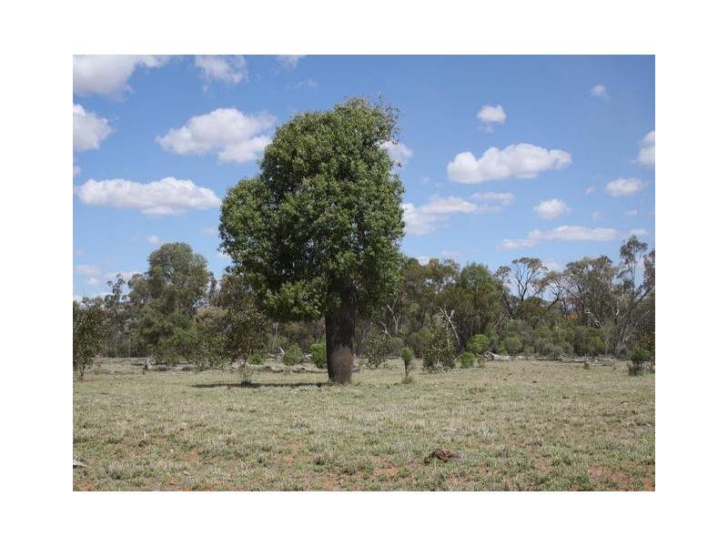 ” GLANMIRE”, Tambo QLD 4478