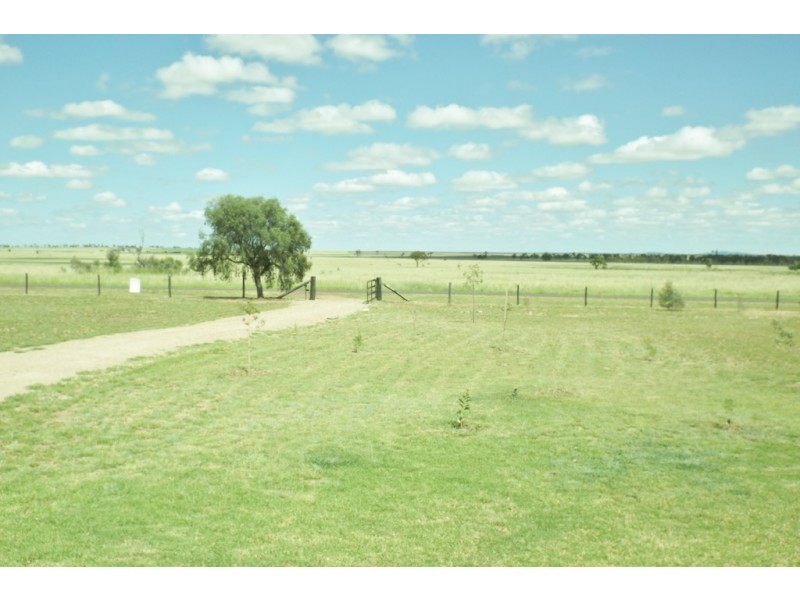 36 Hodgson Lane, Roma QLD 4455