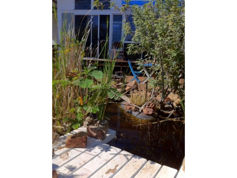 72 Brolga Street, Quilpie QLD 4480