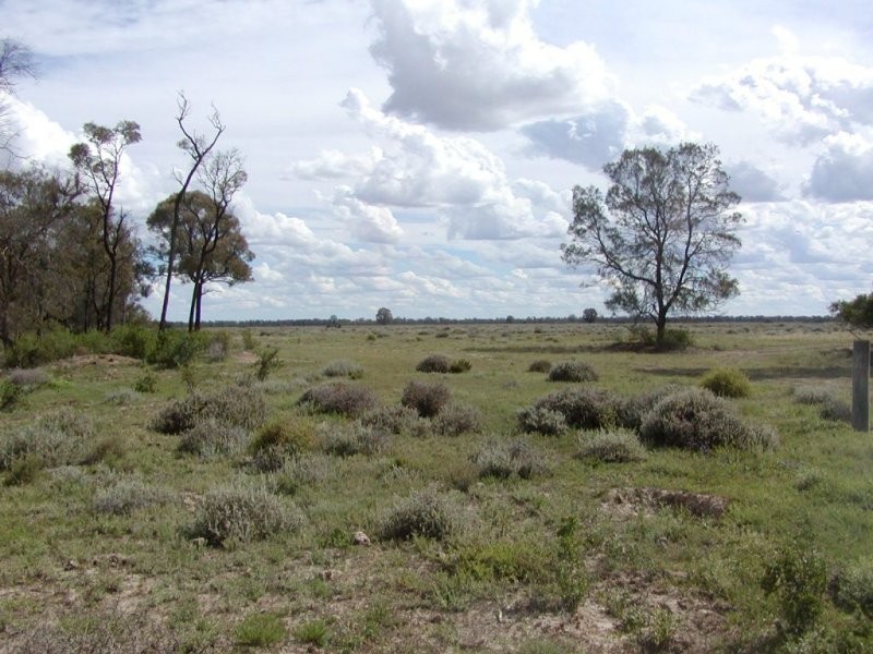 Goondiwindi QLD 4390