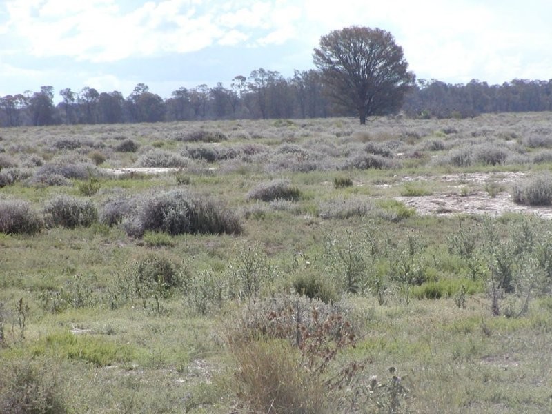 Goondiwindi QLD 4390