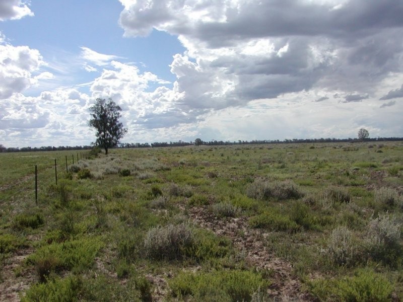 Goondiwindi QLD 4390