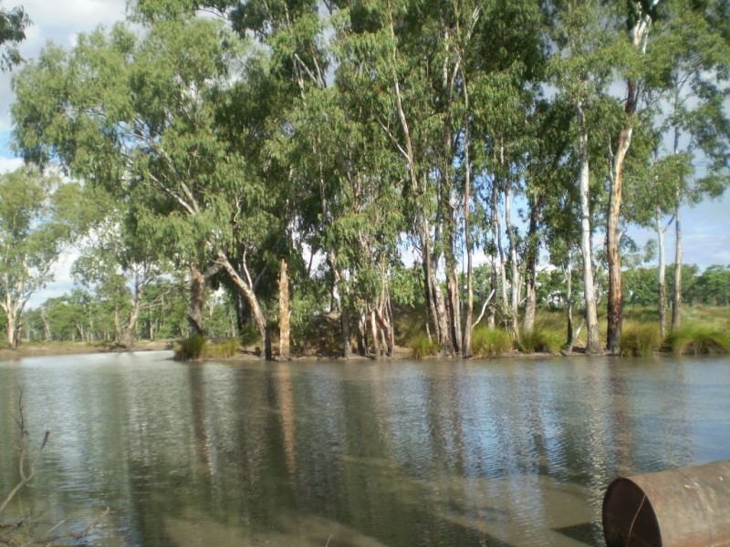 36926 Leichhardt Highway, Miles QLD 4415