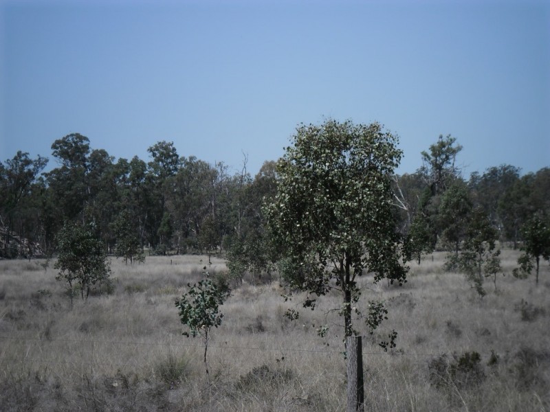 36926 Leichhardt Highway, Miles QLD 4415