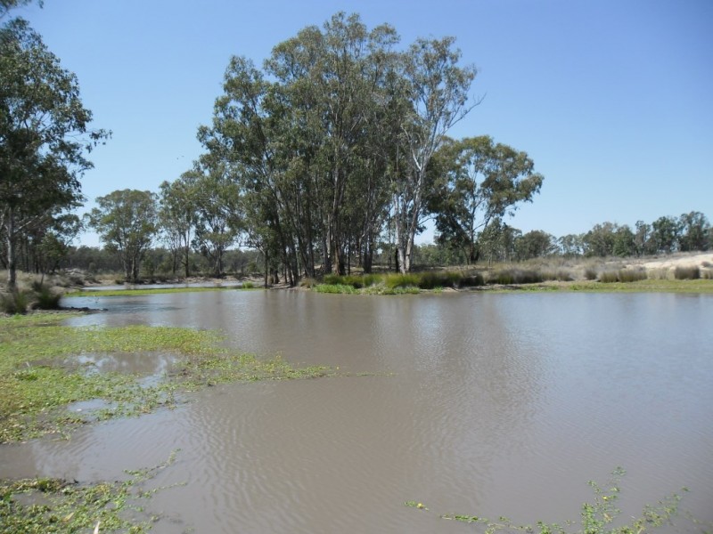 36926 Leichhardt Highway, Miles QLD 4415