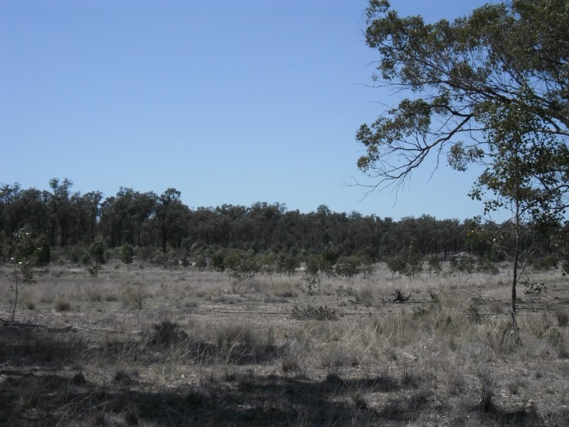 36926 Leichhardt Highway, Miles QLD 4415