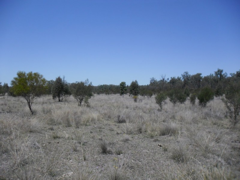 36926 Leichhardt Highway, Miles QLD 4415