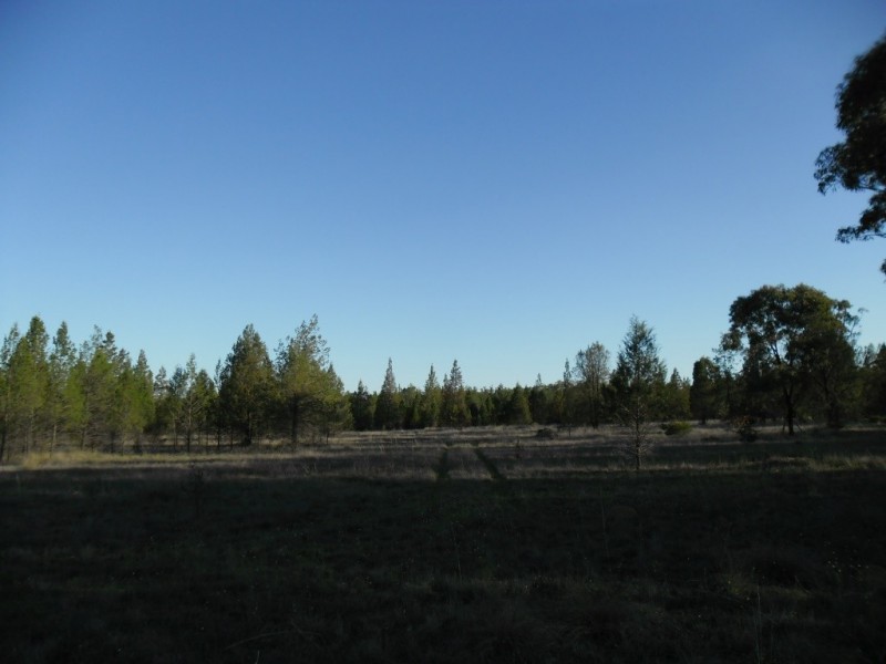 Lot 10 Retreat Road, Miles QLD 4415