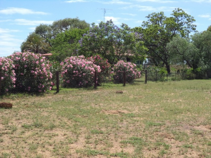 ” GLENGARRY”, Kowguran QLD 4415