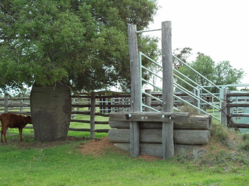 ” GLENGARRY”, Kowguran QLD 4415