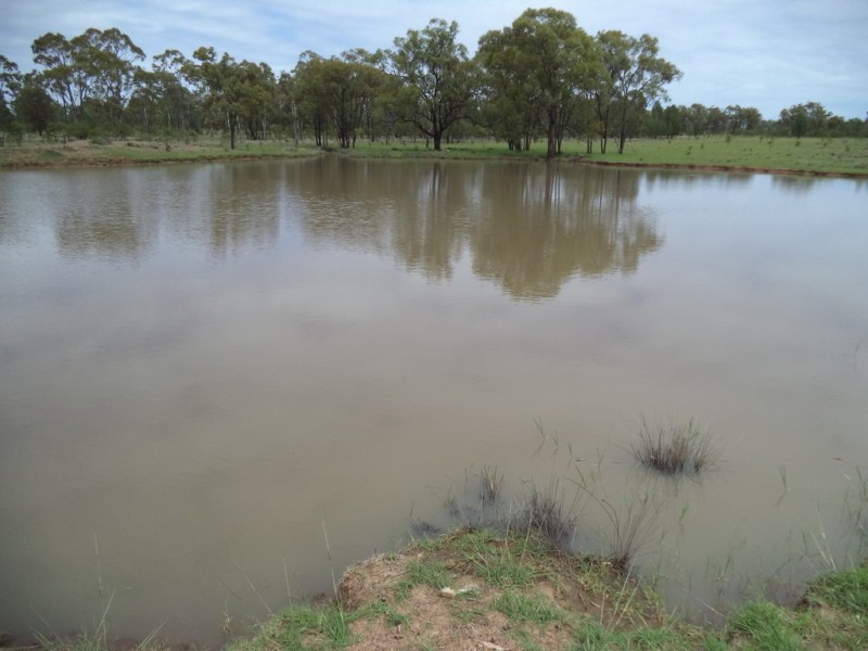 ” GLENGARRY”, Kowguran QLD 4415