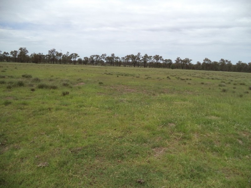 ” GLENGARRY”, Kowguran QLD 4415