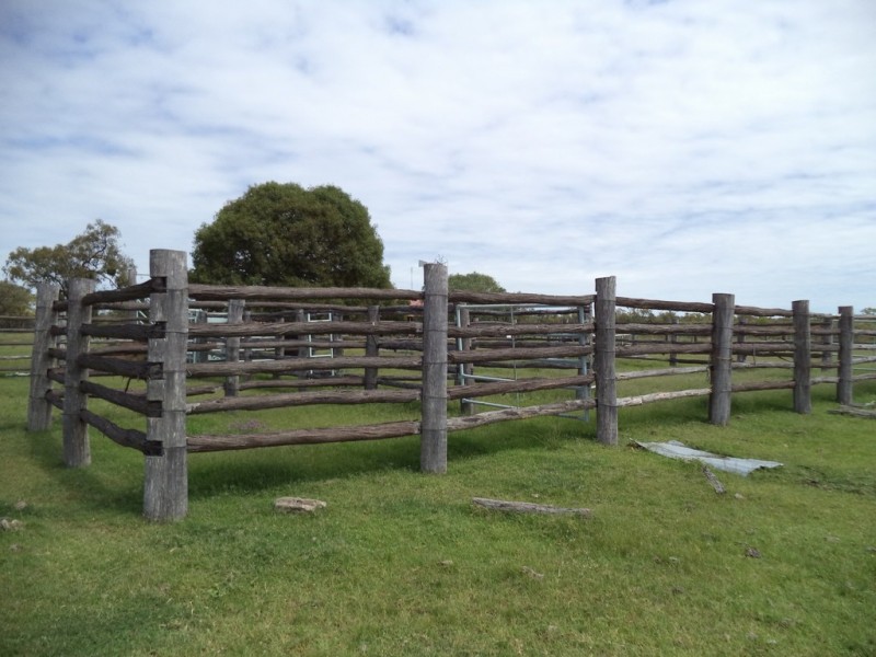 ” GLENGARRY”, Kowguran QLD 4415