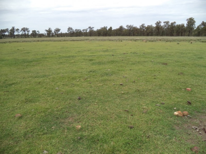 ” GLENGARRY”, Kowguran QLD 4415