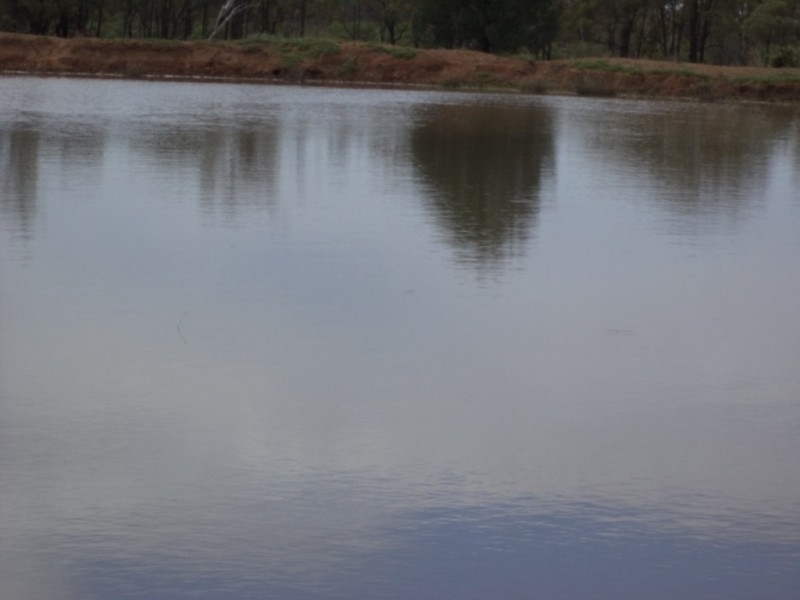 ” GLENGARRY”, Kowguran QLD 4415