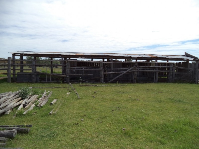 ” GLENGARRY”, Kowguran QLD 4415