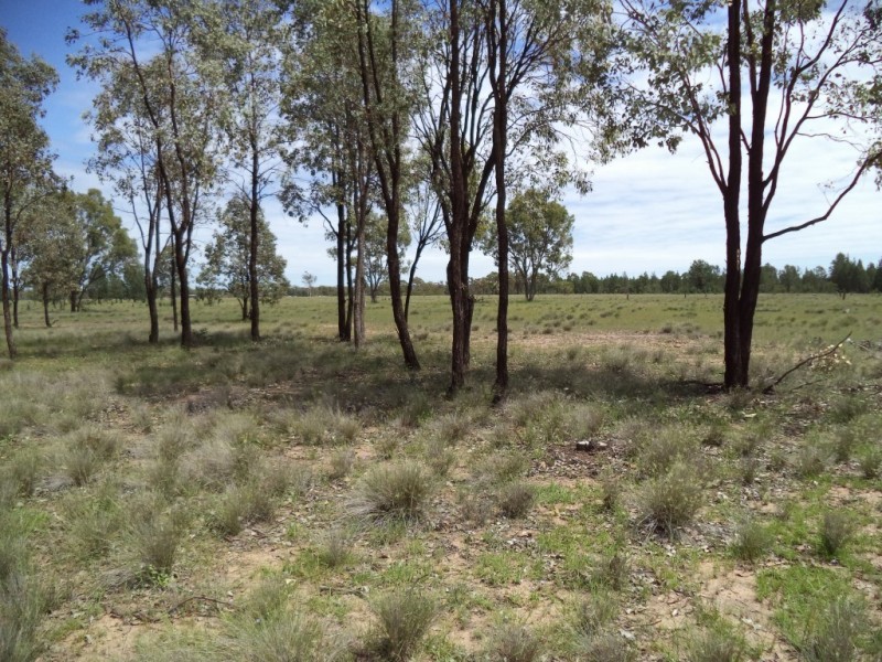 ” GLENGARRY”, Kowguran QLD 4415