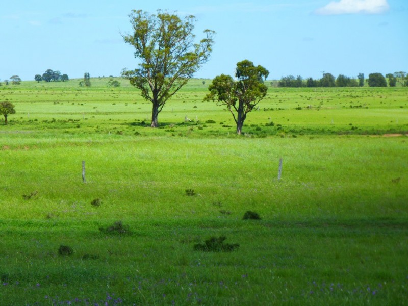 ” Wonga-Lea “, Millmerran QLD 4357