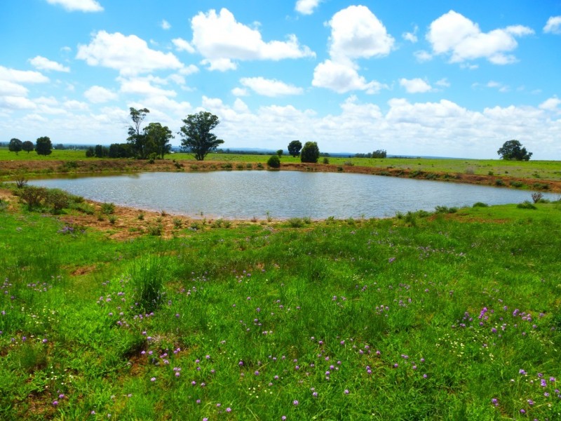 ” Wonga-Lea “, Millmerran QLD 4357