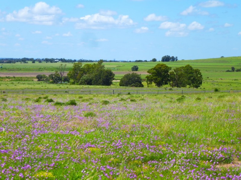 ” Wonga-Lea “, Millmerran QLD 4357