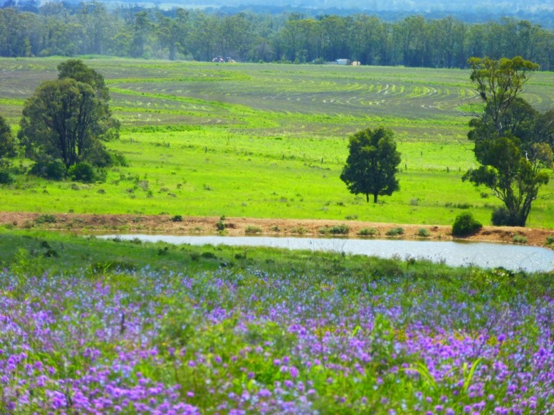 ” Wonga-Lea “, Millmerran QLD 4357