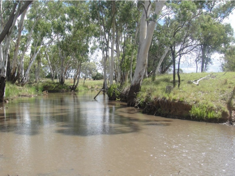 ” Paloma “, Glenmorgan QLD 4423