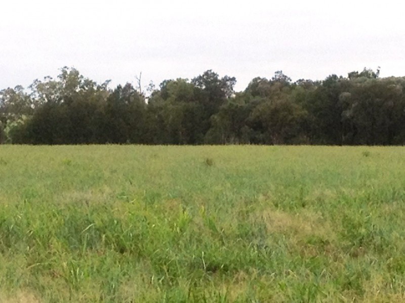 ” Paloma “, Glenmorgan QLD 4423