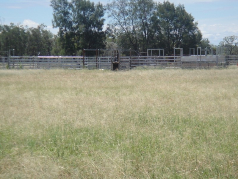 ” Paloma “, Glenmorgan QLD 4423