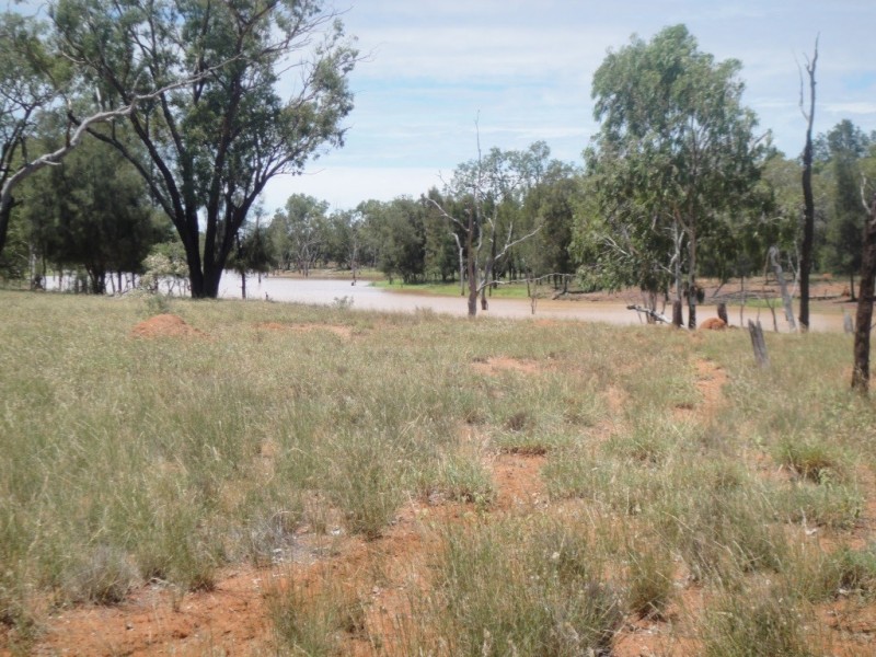 ” Paloma “, Glenmorgan QLD 4423