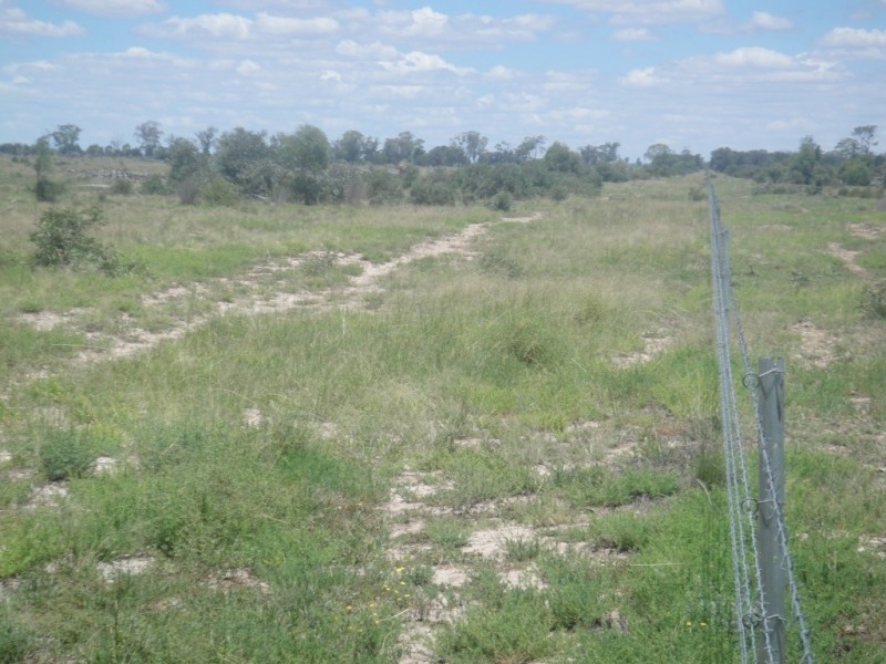 ” Paloma “, Glenmorgan QLD 4423