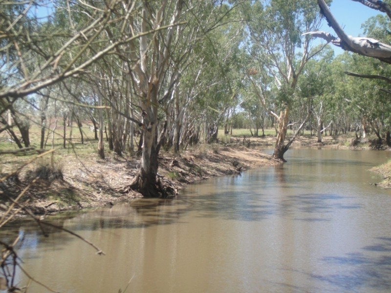” Paloma “, Glenmorgan QLD 4423