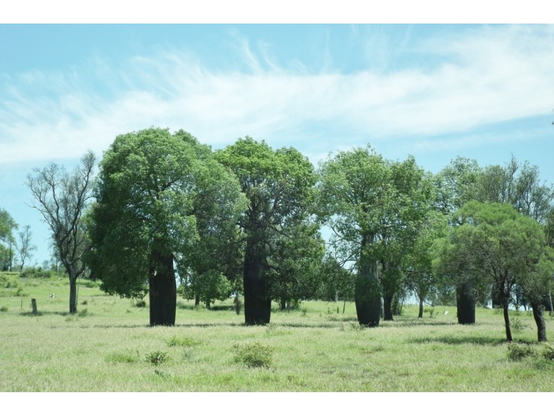 28943 Carnarvon Highway, Roma QLD 4455