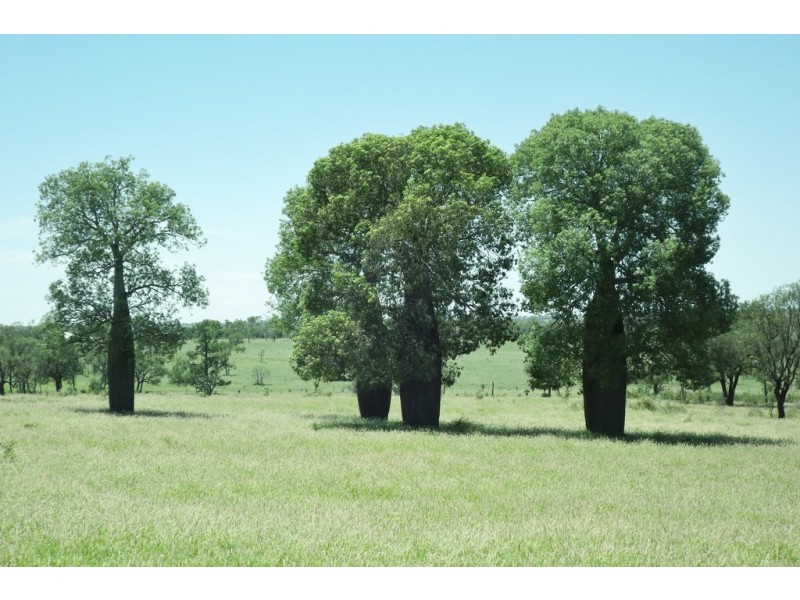 28943 Carnarvon Highway, Roma QLD 4455