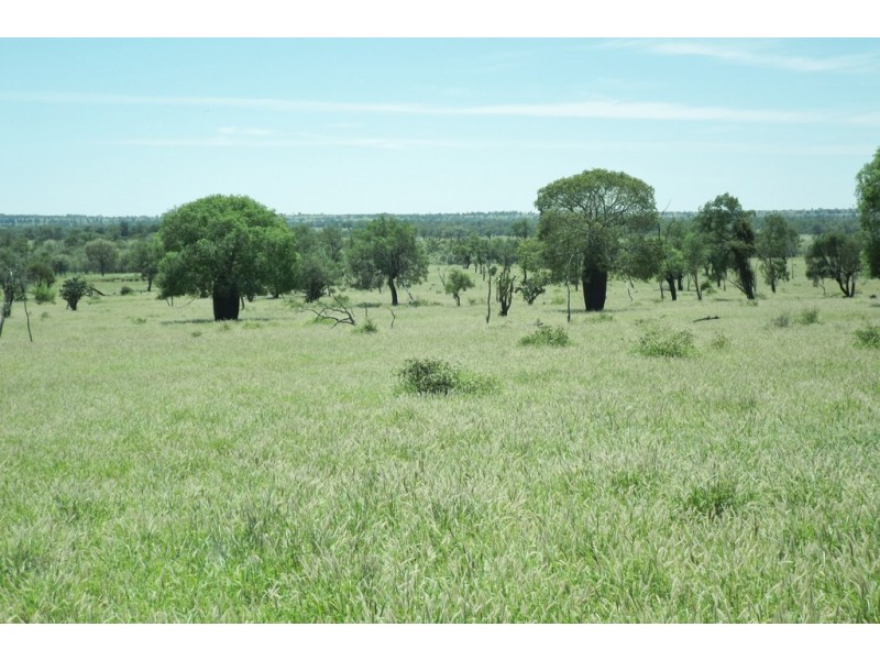 28943 Carnarvon Highway, Roma QLD 4455