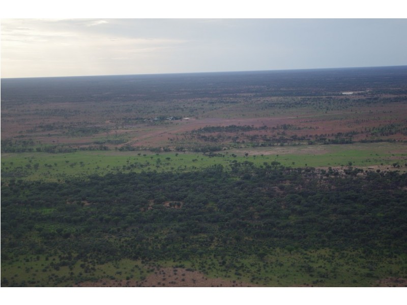 ‘ Burkobulla ‘, Quilpie QLD 4480