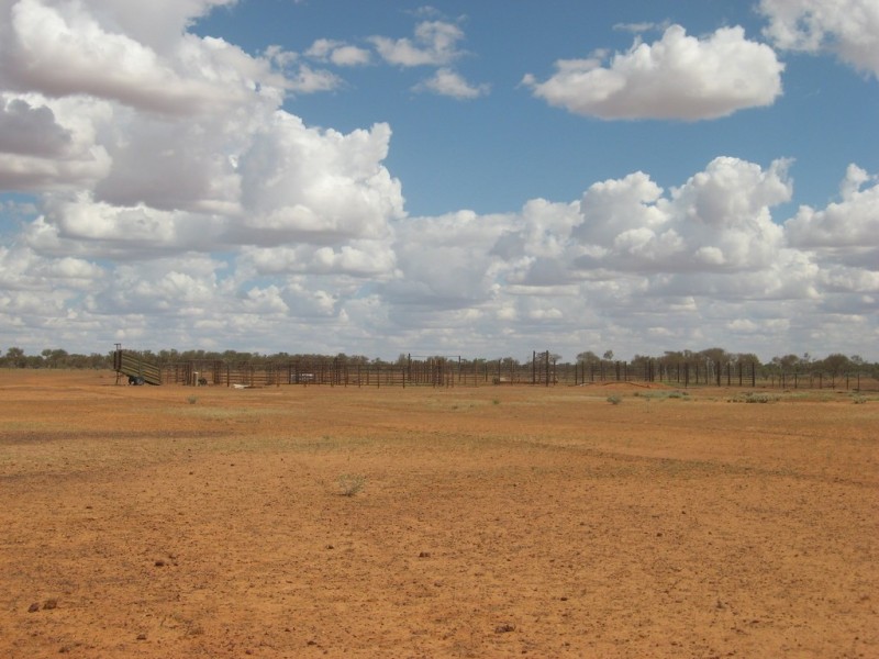 ‘ Burkobulla ‘, Quilpie QLD 4480