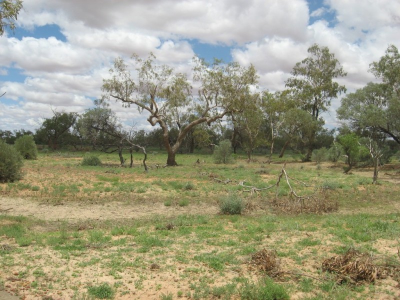‘ Burkobulla ‘, Quilpie QLD 4480