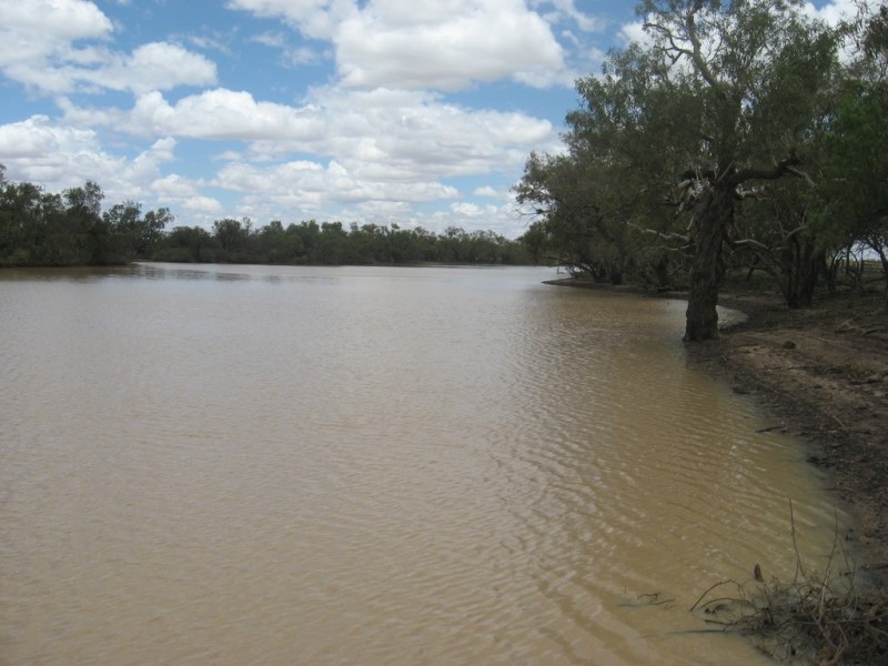 ‘ Burkobulla ‘, Quilpie QLD 4480