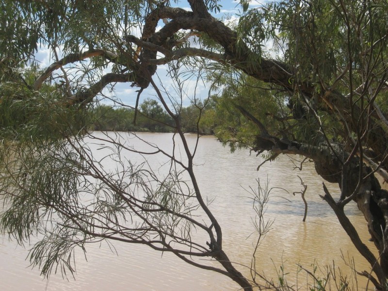 ‘ Burkobulla ‘, Quilpie QLD 4480