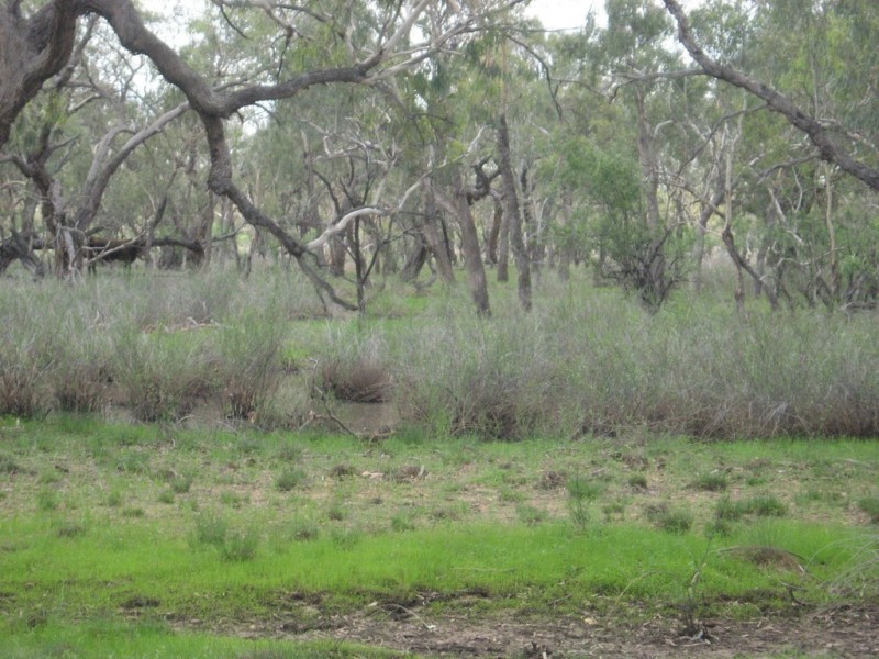 ‘ Burkobulla ‘, Quilpie QLD 4480